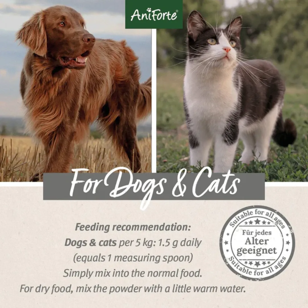 AniForte BARF-Line Bovine Blood Powder