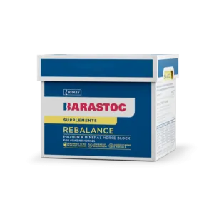 Barastoc Rebalance Horse Block 20kg