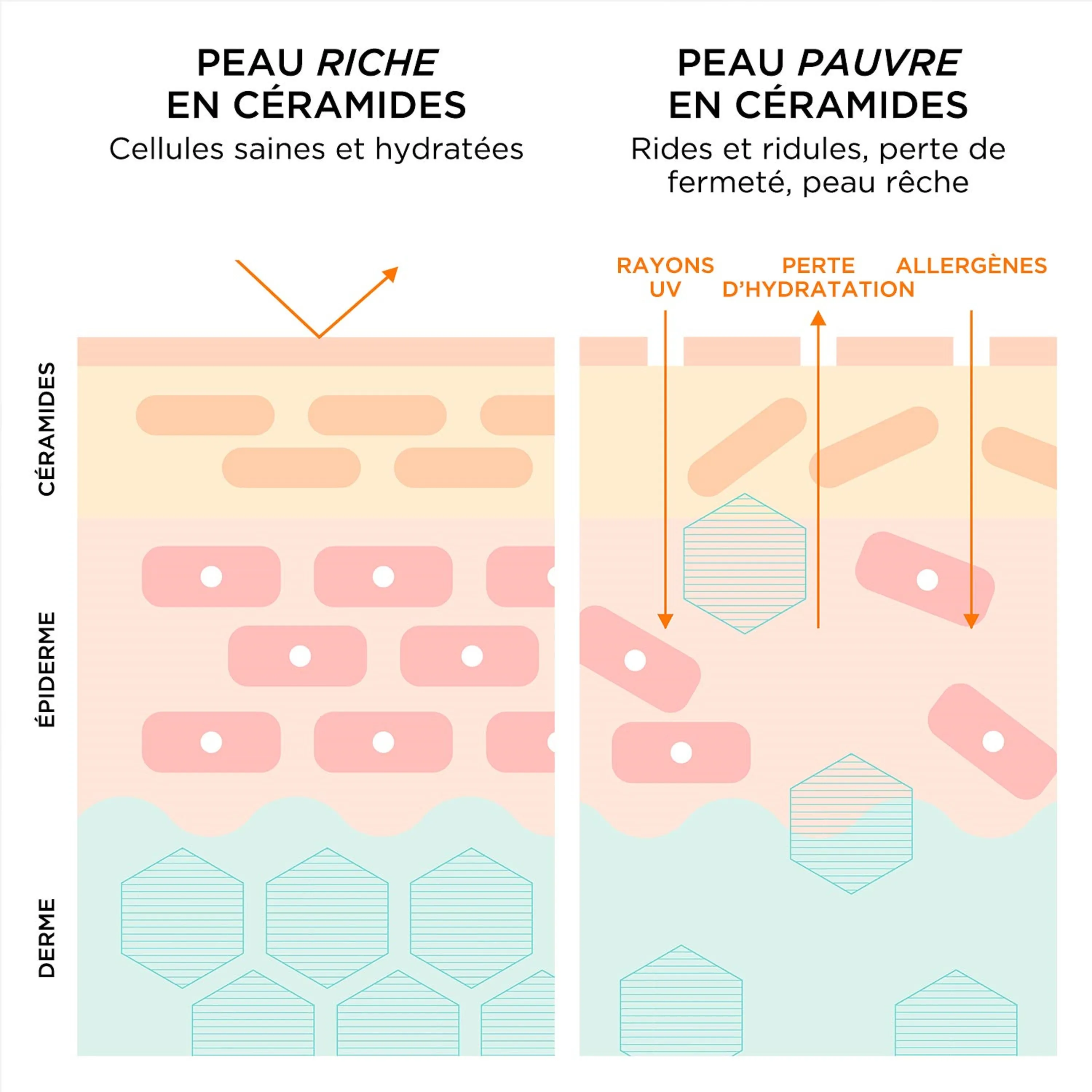 DUO CAPSULES ADVANCED CERAMIDE VISAGE ET YEUX CAPSULE  (VALEUR 163€)
