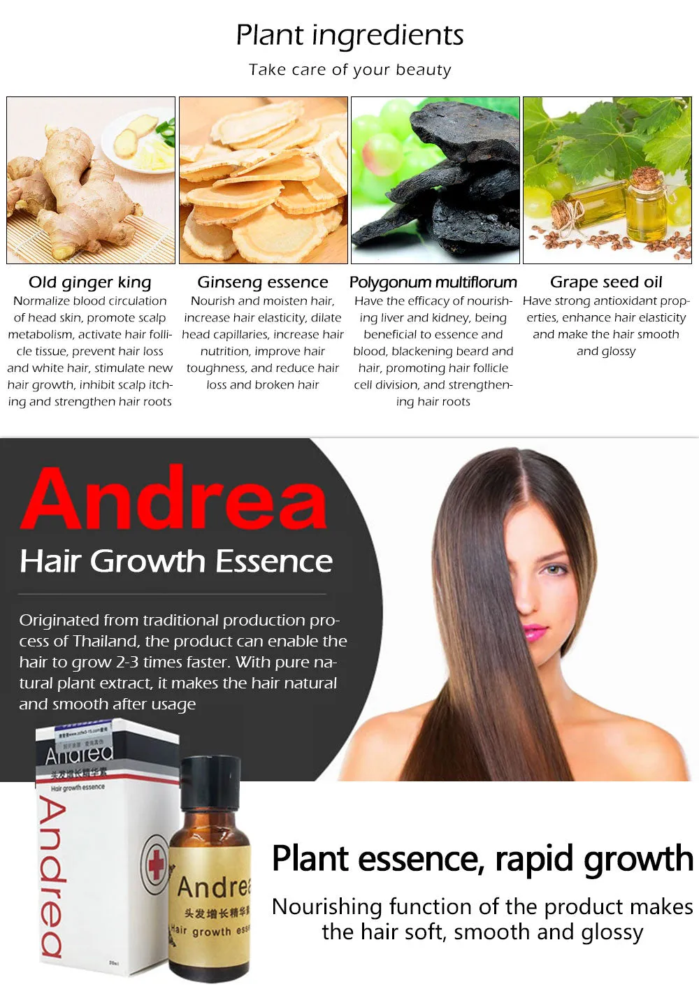 Hair Growth Essence – Anti-Hair Loss Liquid with Ginger & Ginseng (20ml) | Strengthen & Nourish Hair