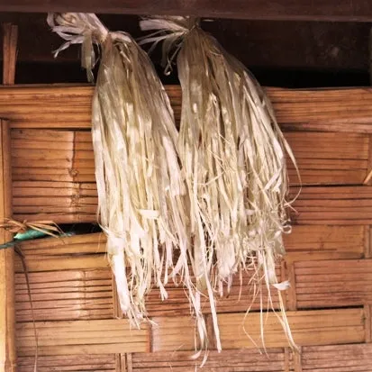 JungleVine® Fiber - Wholesale