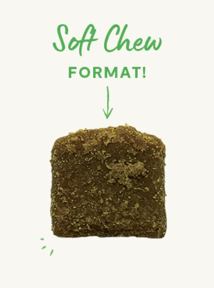 Open Farm Immune Chews -short dated Nov 15