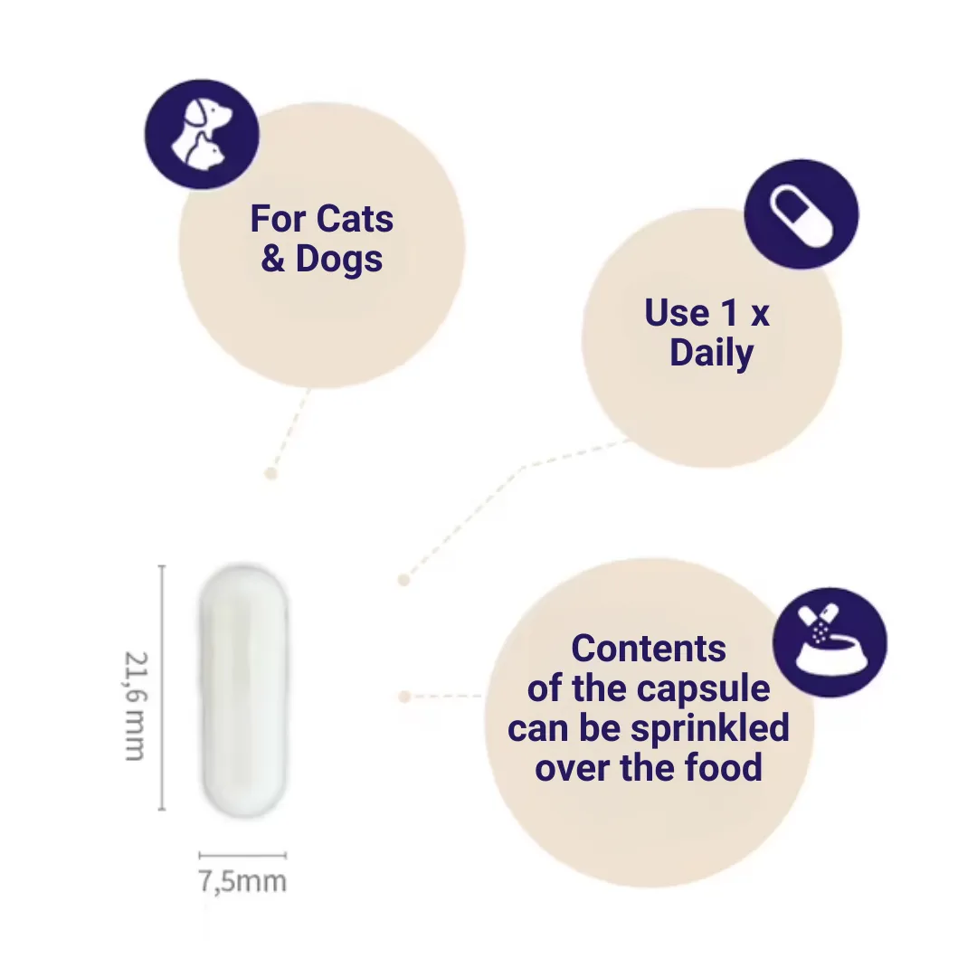Pharmox Probiotic for Cats and Dogs