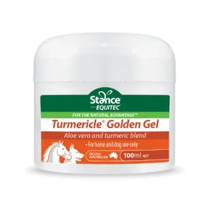 Stance Turmericle Golden Gel