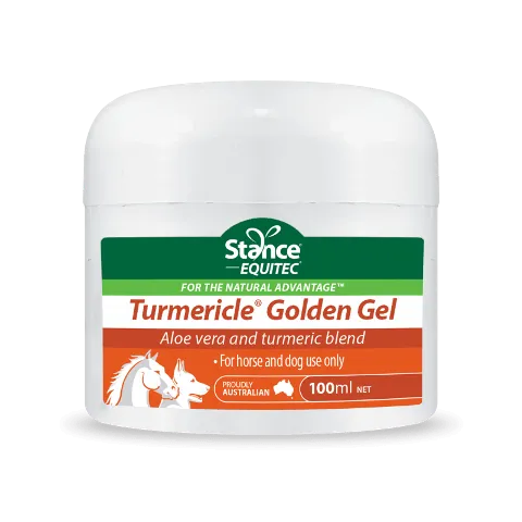 Stance Turmericle Golden Gel