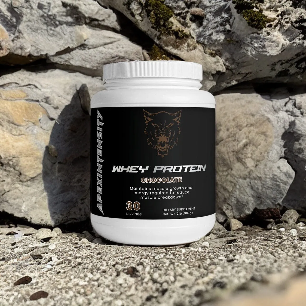 Whey Chocolate Protein