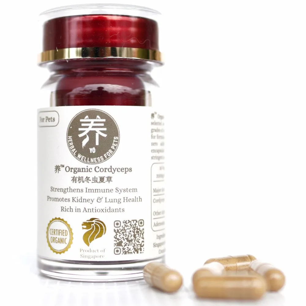 Yo Organic Cordyceps Herbal Supplements For Cats & Dogs 30c